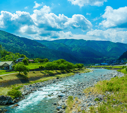 大自然から届く命を、山命が大切に育てるジビエ